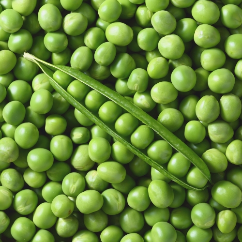 Green Peas